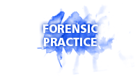 Click here to learn about Dr. Werner's forensic Practice
